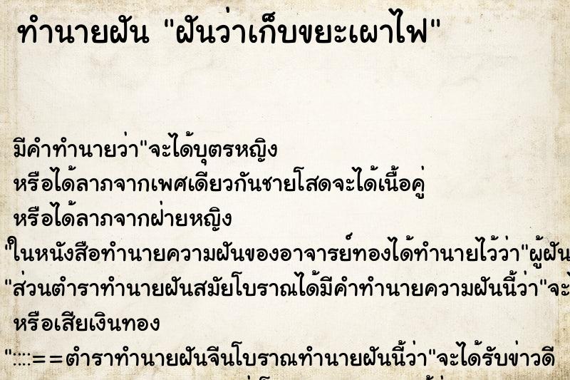 ทำนายฝัน ฝันว่าเก็บขยะเผาไฟ ทำนายฝัน ฝันว่าเก็บขยะเผาไฟ