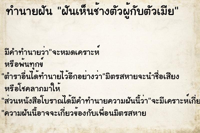 ทำนายฝัน ฝันเห็นช้างตัวผู้กับตัวเมีย ทำนายฝัน ฝันเห็นช้างตัวผู้กับตัวเมีย