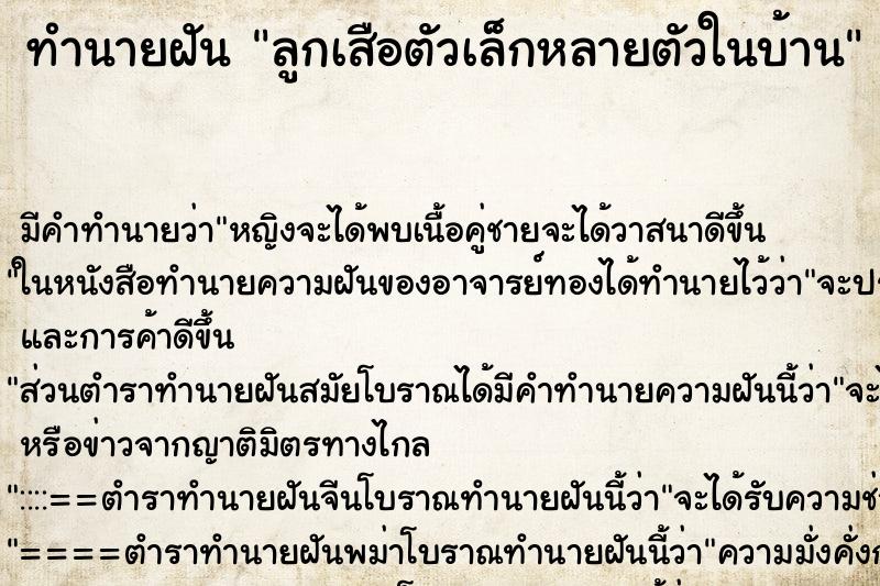 ทำนายฝัน ลูกเสือตัวเล็กหลายตัวในบ้าน ทำนายฝัน ลูกเสือตัวเล็กหลายตัวในบ้าน