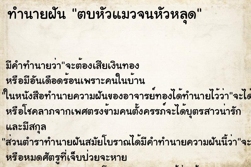 ทำนายฝันทำนายฝันตบหัวแมวจนหัวหลุด