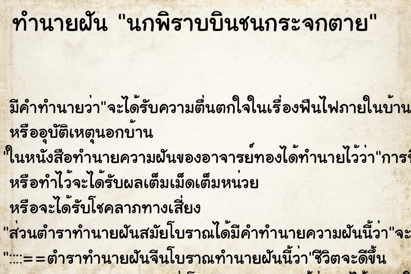 ทำนายฝัน นกพิราบบินชนกระจกตาย ทำนายฝัน นกพิราบบินชนกระจกตาย