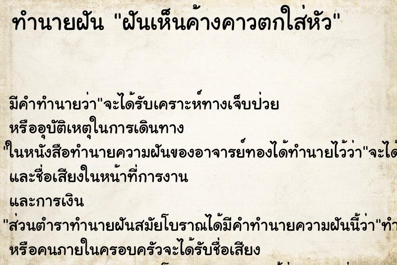 ทำนายฝันฝันเห็นค้างคาวตกใส่หัว ทำนายฝันทำนายฝันฝันเห็นค้างคาวตกใส่หัว