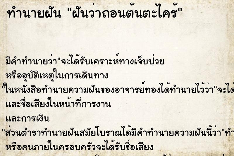ทำนายฝันฝันว่าถอนต้นตะไคร้ ทำนายฝันทำนายฝันฝันว่าถอนต้นตะไคร้