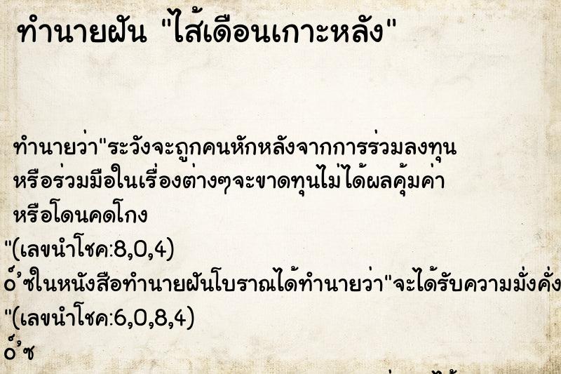 ทำนายฝันทำนายฝันไส้เดือนเกาะหลัง