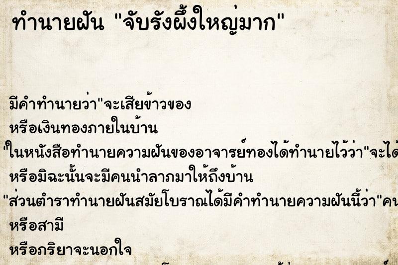 ทำนายฝัน จับรังผึ้งใหญ่มาก ทำนายฝัน จับรังผึ้งใหญ่มาก