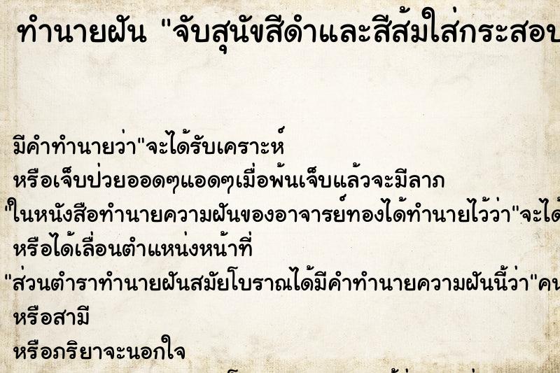 ทำนายฝัน จับสุนัขสีดำและสีส้มใส่กระสอบ ทำนายฝัน จับสุนัขสีดำและสีส้มใส่กระสอบ
