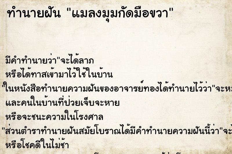 ทำนายฝัน แมลงมุมกัดมือขวา ทำนายฝัน แมลงมุมกัดมือขวา