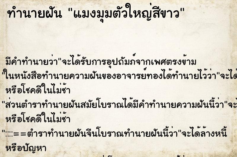 ทำนายฝัน แมงมุมตัวใหญ่สีขาว ทำนายฝัน แมงมุมตัวใหญ่สีขาว