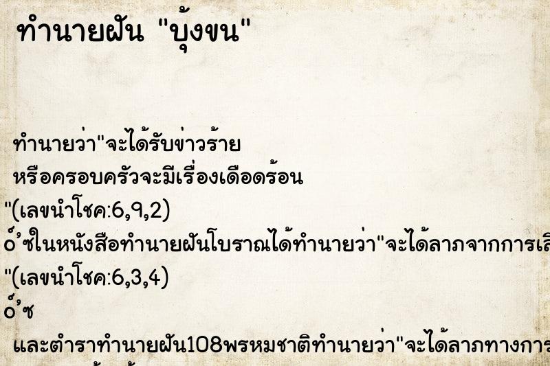 ทำนายฝันบุ้งขน ทำนายฝันทำนายฝันบุ้งขน