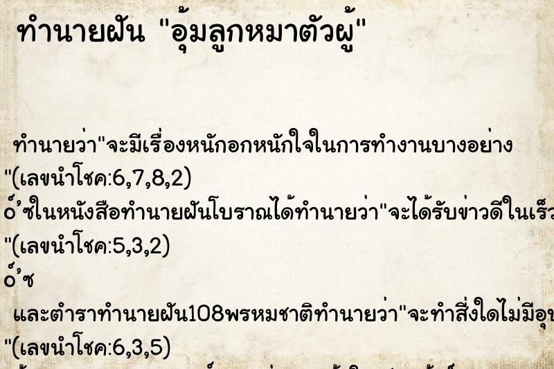 ทำนายฝันทำนายฝันอุ้มลูกหมาตัวผู้