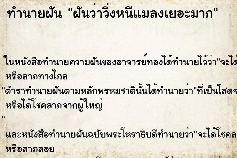 ทำนายฝันฝันว่าวิ่งหนีแมลงเยอะมาก ทำนายฝันทำนายฝันฝันว่าวิ่งหนีแมลงเยอะมาก
