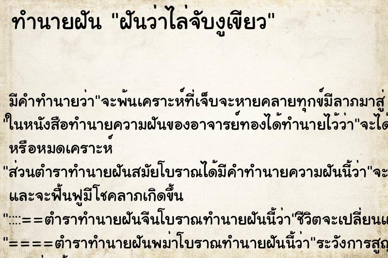 ทำนายฝัน ฝันว่าไล่จับงูเขียว ทำนายฝัน ฝันว่าไล่จับงูเขียว
