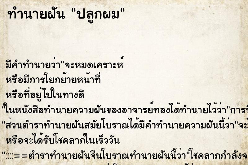ทำนายฝัน ปลูกผม ทำนายฝัน ปลูกผม