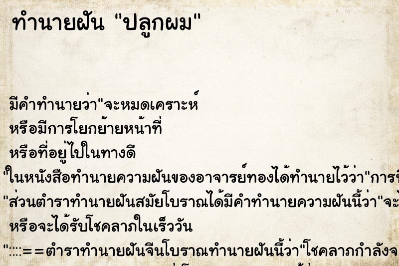 ทำนายฝัน ปลูกผม ตำราโบราณ แม่นที่สุดในโลก