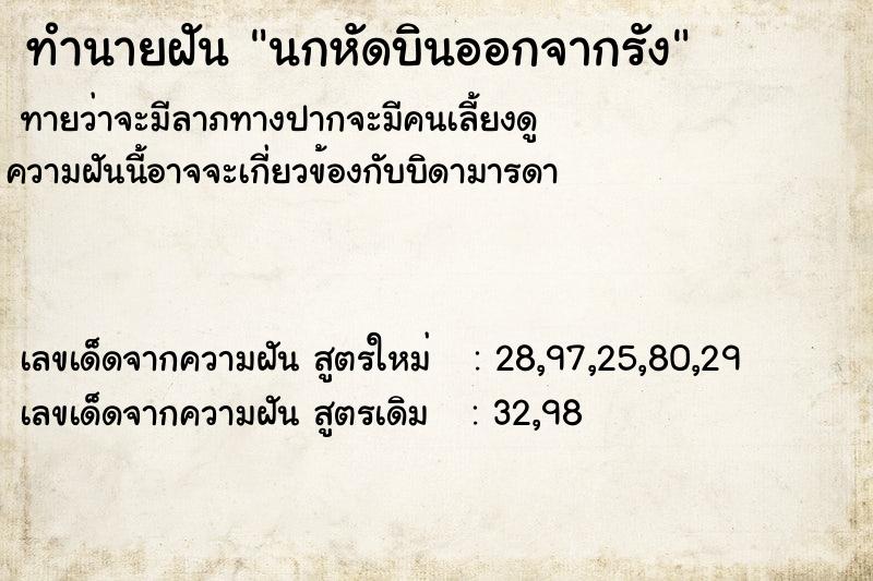 ทำนายฝันนกหัดบินออกจากรัง ทำนายฝันทำนายฝันนกหัดบินออกจากรัง
