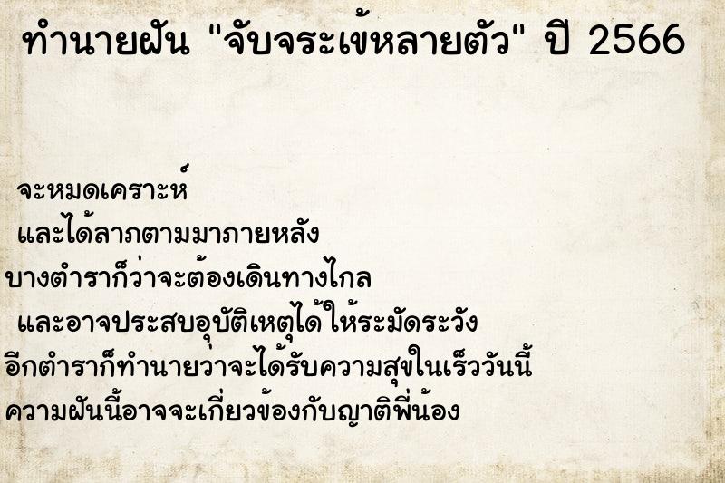ทำนายฝันทำนายฝันจับจระเข้หลายตัว