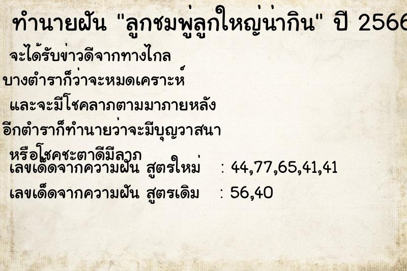 ทำนายฝัน ลูกชมพู่ลูกใหญ่น่ากิน ทำนายฝัน ลูกชมพู่ลูกใหญ่น่ากิน