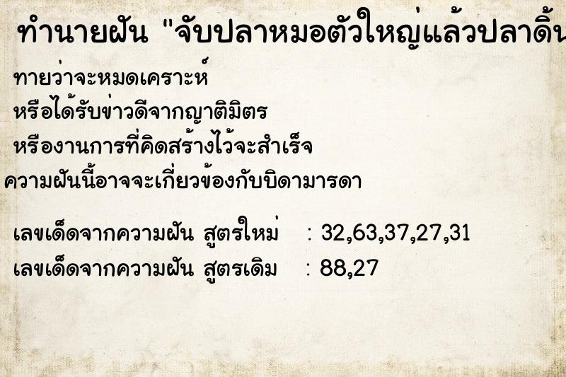 ทำนายฝันทำนายฝันจับปลาหมอตัวใหญ่แล้วปลาดิ้นหลุดมือ