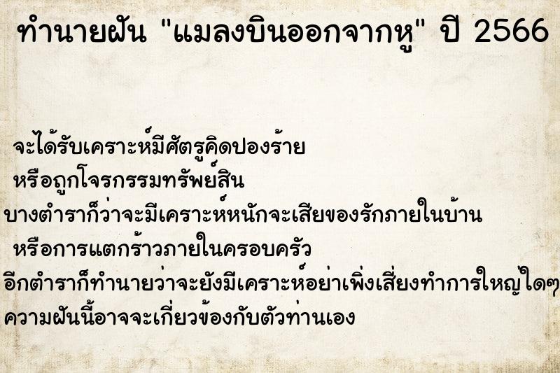 ทำนายฝันแมลงบินออกจากหู ทำนายฝันทำนายฝันแมลงบินออกจากหู