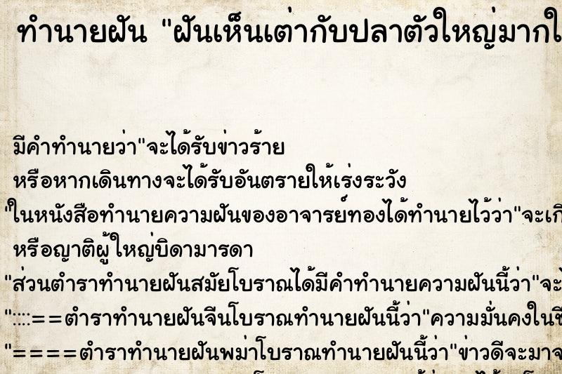 ทำนายฝันฝันเห็นเต่ากับปลาตัวใหญ่มากในสระน้ำ ทำนายฝันทำนายฝันฝันเห็นเต่ากับปลาตัวใหญ่มากในสระน้ำ