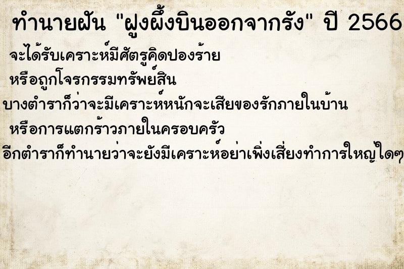 ทำนายฝัน ฝูงผึ้งบินออกจากรัง ตำราโบราณ แม่นที่สุดในโลก