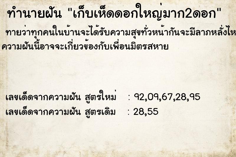 ทำนายฝัน เก็บเห็ดดอกใหญ่มาก2ดอก