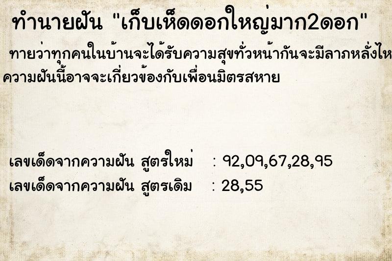 ทำนายฝัน เก็บเห็ดดอกใหญ่มาก2ดอก ตำราโบราณ แม่นที่สุดในโลก