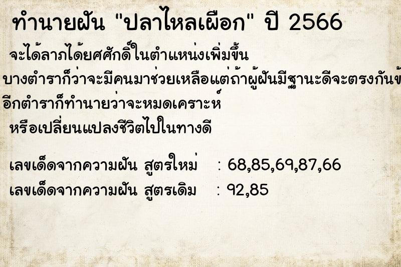 ทำนายฝัน ปลาไหลเผือก ทำนายฝัน ปลาไหลเผือก