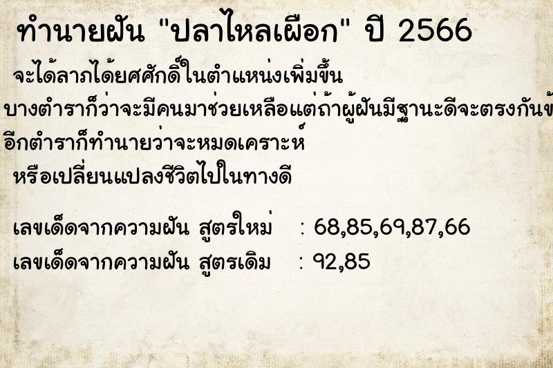 ทำนายฝัน ปลาไหลเผือก ตำราโบราณ แม่นที่สุดในโลก