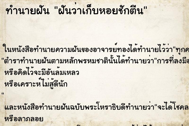 ทำนายฝันฝันว่าเก็บหอยชักตีน ทำนายฝันทำนายฝันฝันว่าเก็บหอยชักตีน