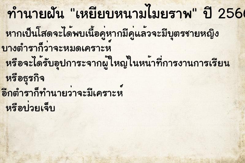 ทำนายฝัน เหยียบหนามไมยราพ ตำราโบราณ แม่นที่สุดในโลก