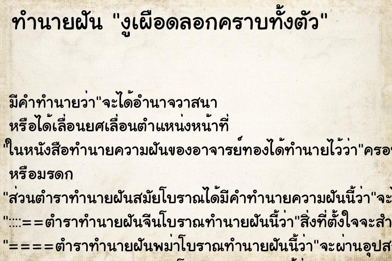 ทำนายฝันงูเผือดลอกคราบทั้งตัว ทำนายฝันทำนายฝันงูเผือดลอกคราบทั้งตัว