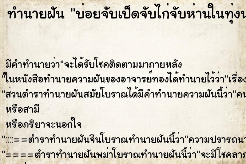 ทำนายฝันทำนายฝันบ่อยจับเป็ดจับไก่จับห่านในทุ่งนา