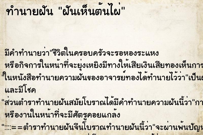 ทำนายฝัน ฝันเห็นต้นไผ่ ทำนายฝัน ฝันเห็นต้นไผ่