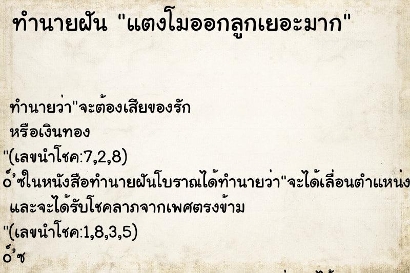 ทำนายฝัน แตงโมออกลูกเยอะมาก