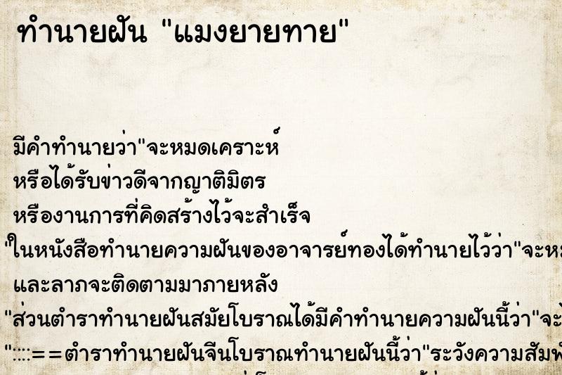 ทำนายฝัน แมงยายทาย ทำนายฝัน แมงยายทาย