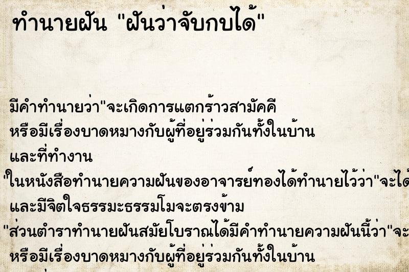 ทำนายฝัน ฝันว่าจับกบได้ ตำราโบราณ แม่นที่สุดในโลก