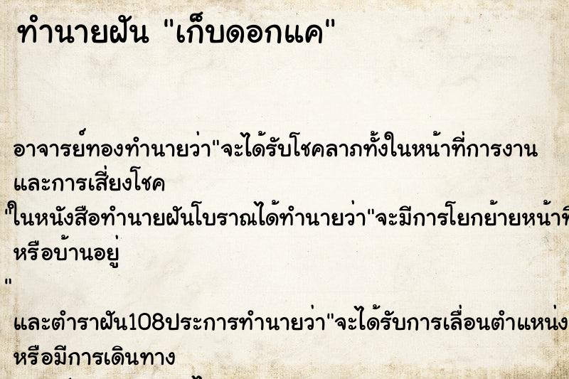 ทำนายฝัน เก็บดอกแค