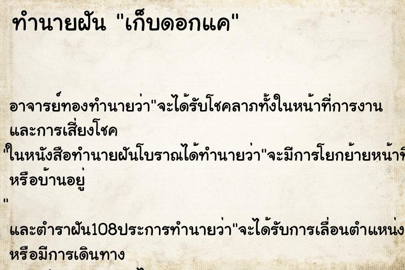 ทำนายฝัน เก็บดอกแค ตำราโบราณ แม่นที่สุดในโลก