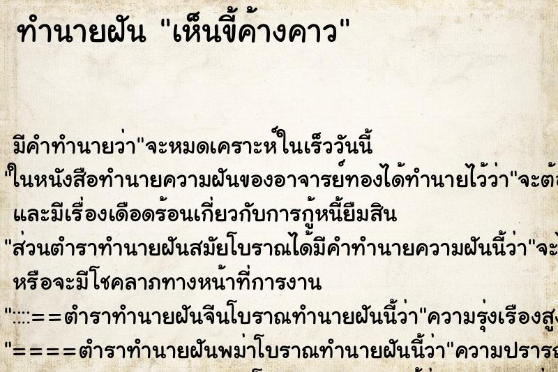 ทำนายฝัน เห็นขี้ค้างคาว ทำนายฝัน เห็นขี้ค้างคาว