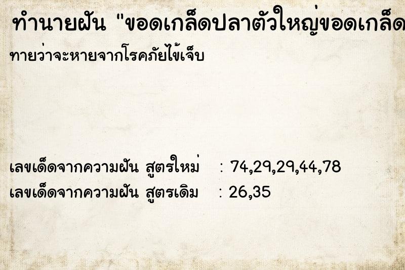 ทำนายฝันทำนายฝันขอดเกล็ดปลาตัวใหญ่ขอดเกล็ดปลาตัวใหญ่