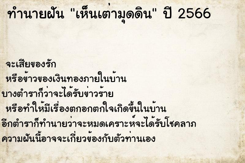 ทำนายฝันเห็นเต่ามุดดิน ทำนายฝันทำนายฝันเห็นเต่ามุดดิน