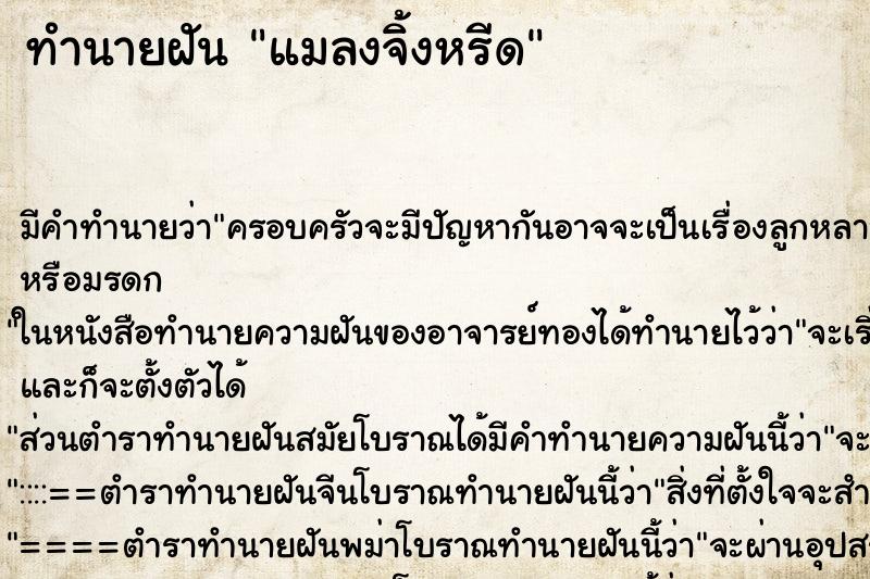 ทำนายฝันแมลงจิ้งหรีด ทำนายฝันทำนายฝันแมลงจิ้งหรีด