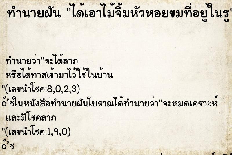 ทำนายฝันได้เอาไม้จิ้มหัวหอยขมที่อยู่ในรู ทำนายฝันทำนายฝันได้เอาไม้จิ้มหัวหอยขมที่อยู่ในรู