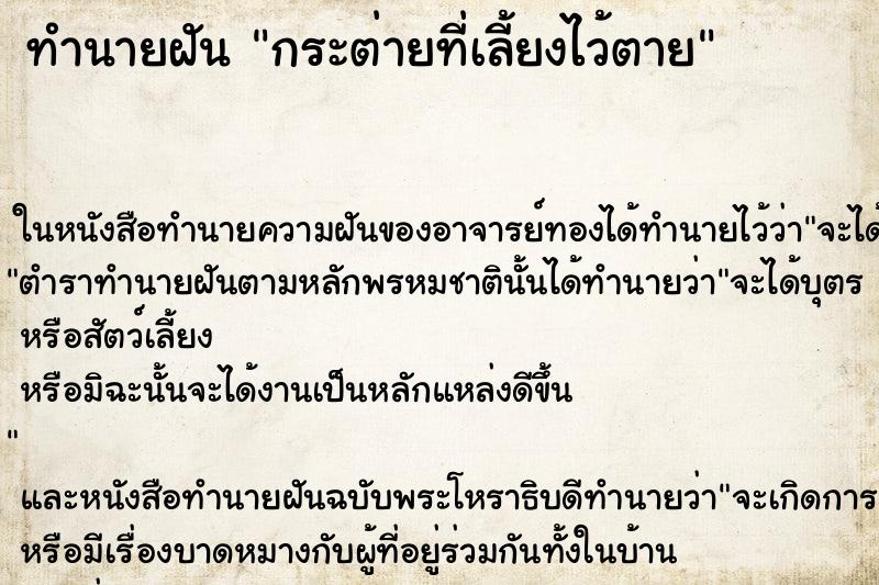 ทำนายฝัน กระต่ายที่เลี้ยงไว้ตาย ทำนายฝัน กระต่ายที่เลี้ยงไว้ตาย
