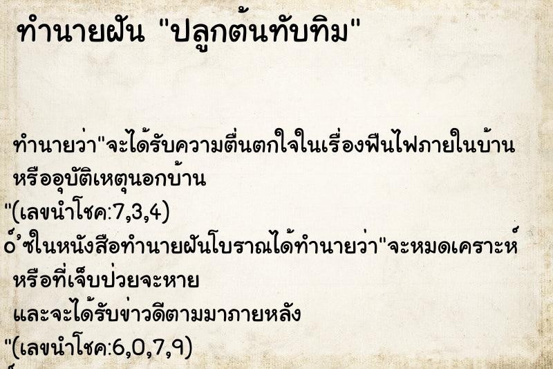 ทำนายฝัน ปลูกต้นทับทิม ทำนายฝัน ปลูกต้นทับทิม
