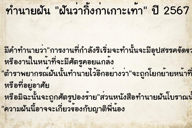 ทำนายฝันฝันว่ากิ้งก่าเกาะเท้า ทำนายฝันทำนายฝันฝันว่ากิ้งก่าเกาะเท้า