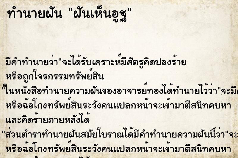 ทำนายฝัน ฝันเห็นอูฐ ทำนายฝัน ฝันเห็นอูฐ