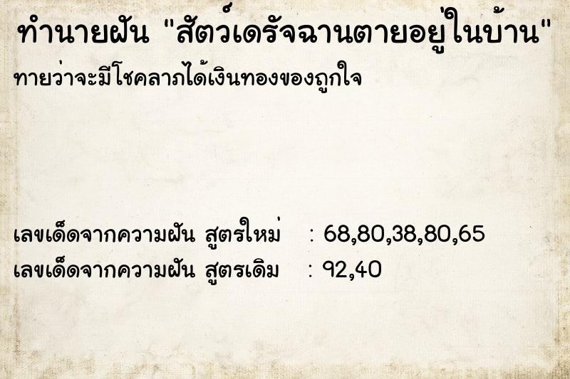 ทำนายฝัน สัตว์เดรัจฉานตายอยู่ในบ้าน ทำนายฝัน สัตว์เดรัจฉานตายอยู่ในบ้าน