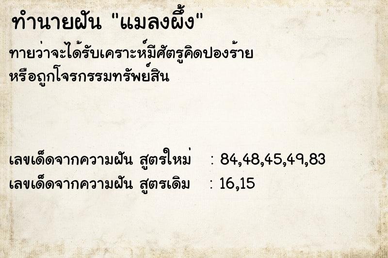 ทำนายฝันแมลงผึ้ง ทำนายฝันทำนายฝันแมลงผึ้ง